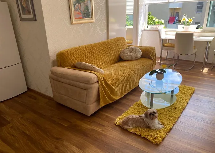 Iva Apartmán