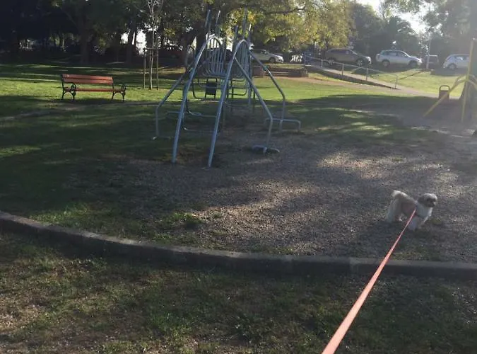 Iva Split